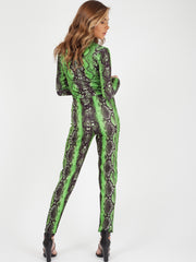Schlangendruckzip Front -Front -Overall